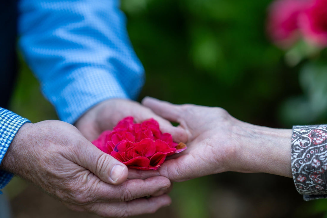 Sexual Wellness in Perimenopause & Menopause, Explained by a Doctor of Physical Therapy