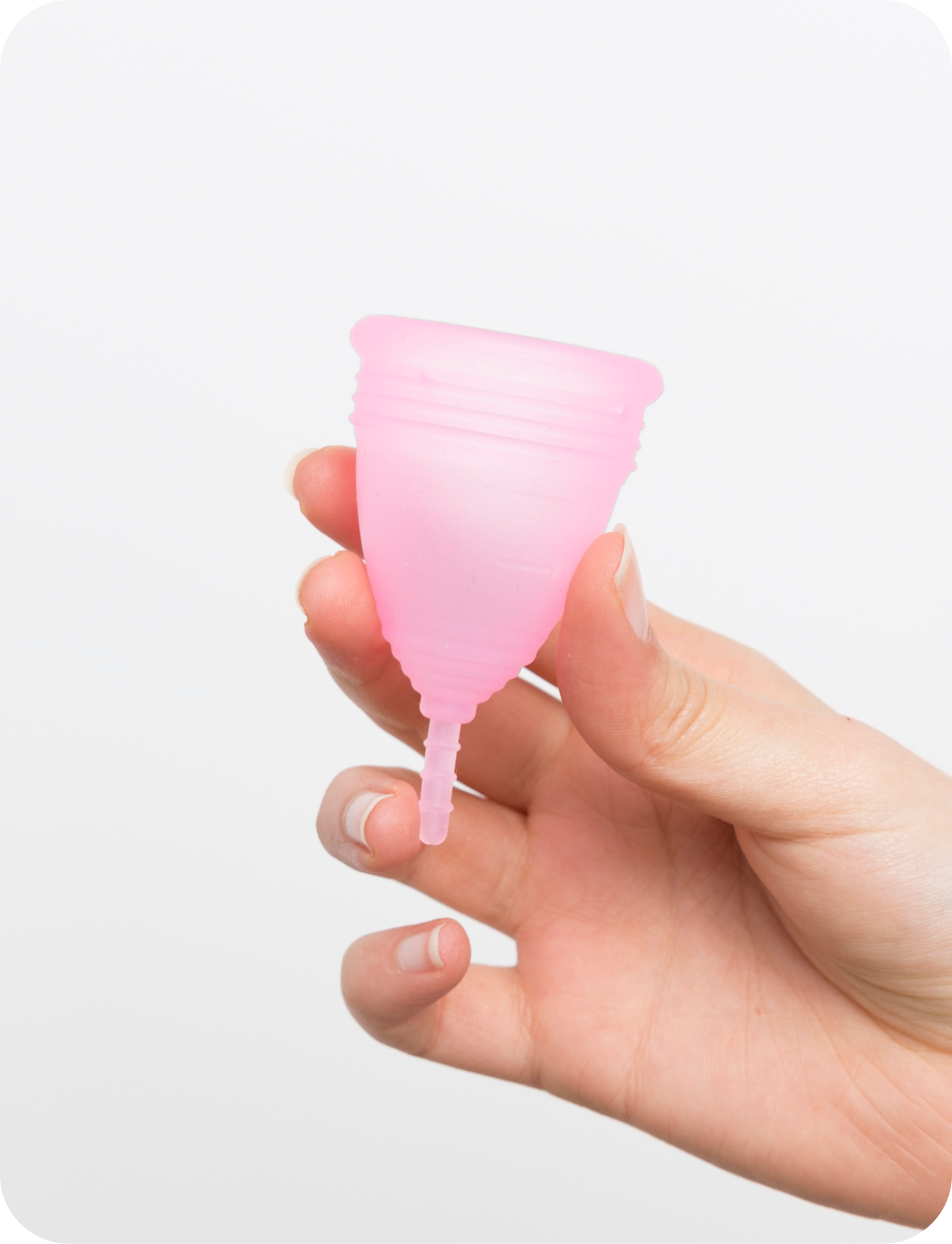 Are Menstrual Cups Bad for You?